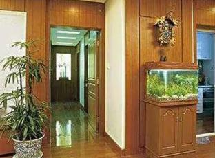 室内招财的风水如何布置