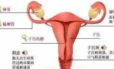 女性健康科普知识讲座