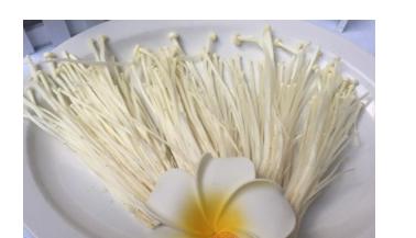 哪些食物补血最快最好