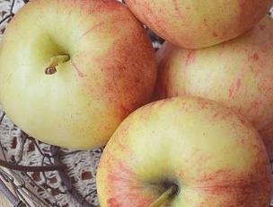 怀孕吃什么对胎儿最好水果