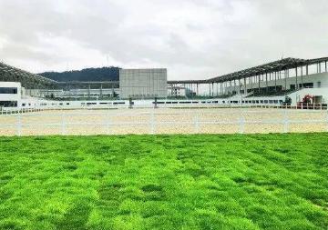 2022杭州亚运会有哪些场馆