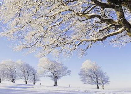 形容雪景的优美句子简短