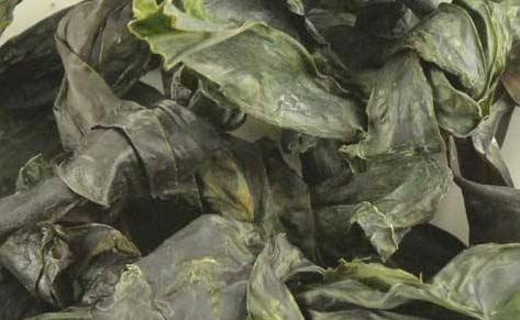 昆布的功效与作用及禁忌