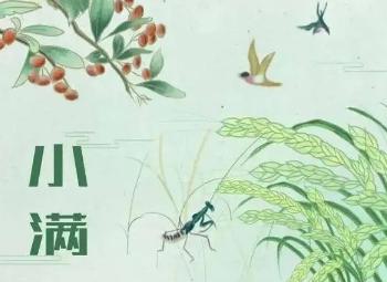 小满的寓意诗词