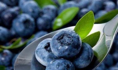 世界水果之王排名