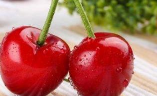 世界水果之王排名