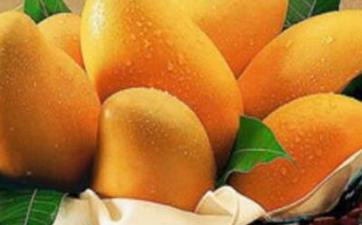 世界水果之王排名