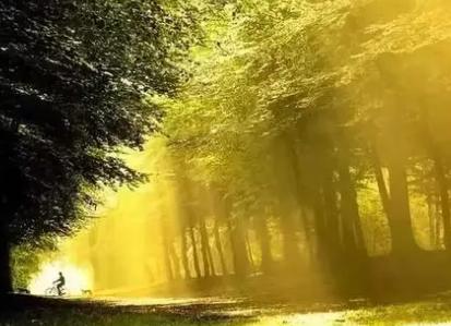 生活散文随笔美文