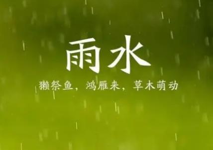 雨水节气的由来与民俗