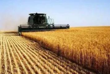 三农指的是哪三农