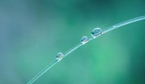 描写盛夏的唯美句子短语