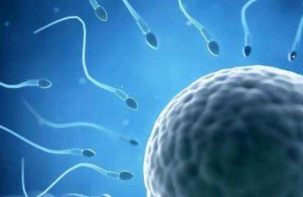 前七后八是安全期还是危险期