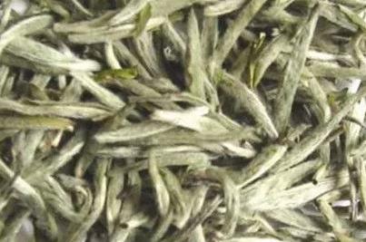 墨江云针是什么茶