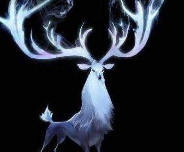 十二星座专属的坐骑