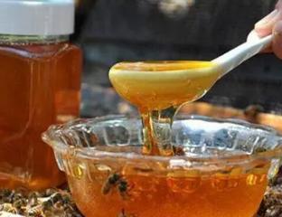 蜂蜜的功效与主治