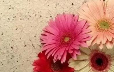 女人看淡一切的句子图片