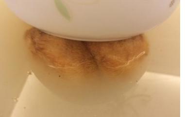 干猴头菇煲汤的做法大全