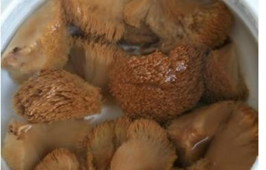 干猴头菇煲汤的做法大全