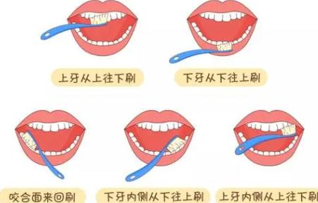 正确的刷牙方法步骤