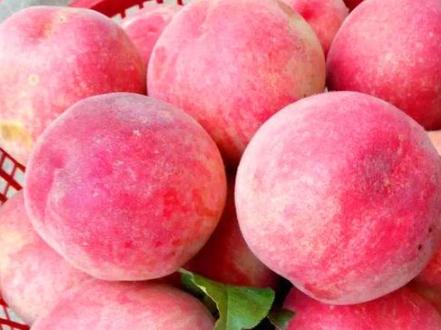 桃子果酱的做法