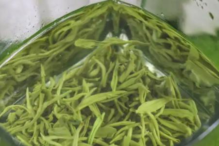 碧螺春茶的泡法