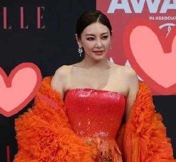 因意外elle红毯被取消