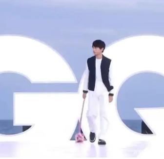 因意外elle红毯被取消