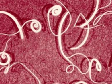 人全身长满寄生虫图片