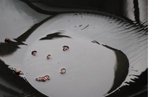 绿豆芽怎么炒最好吃家常做法