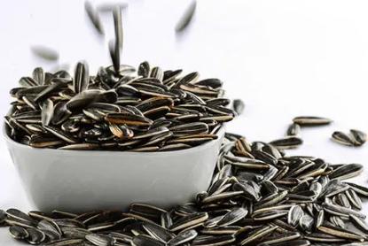 吃了一斤瓜子能胖几斤