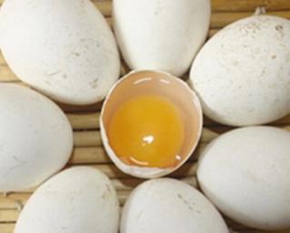 常吃鹅蛋的作用与功效