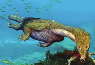 目前海洋最大的生物