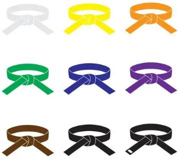 空手道段位颜色最好