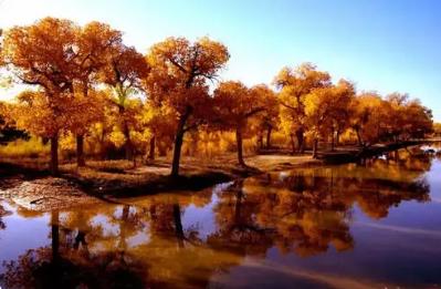 额济纳旗是什么地方