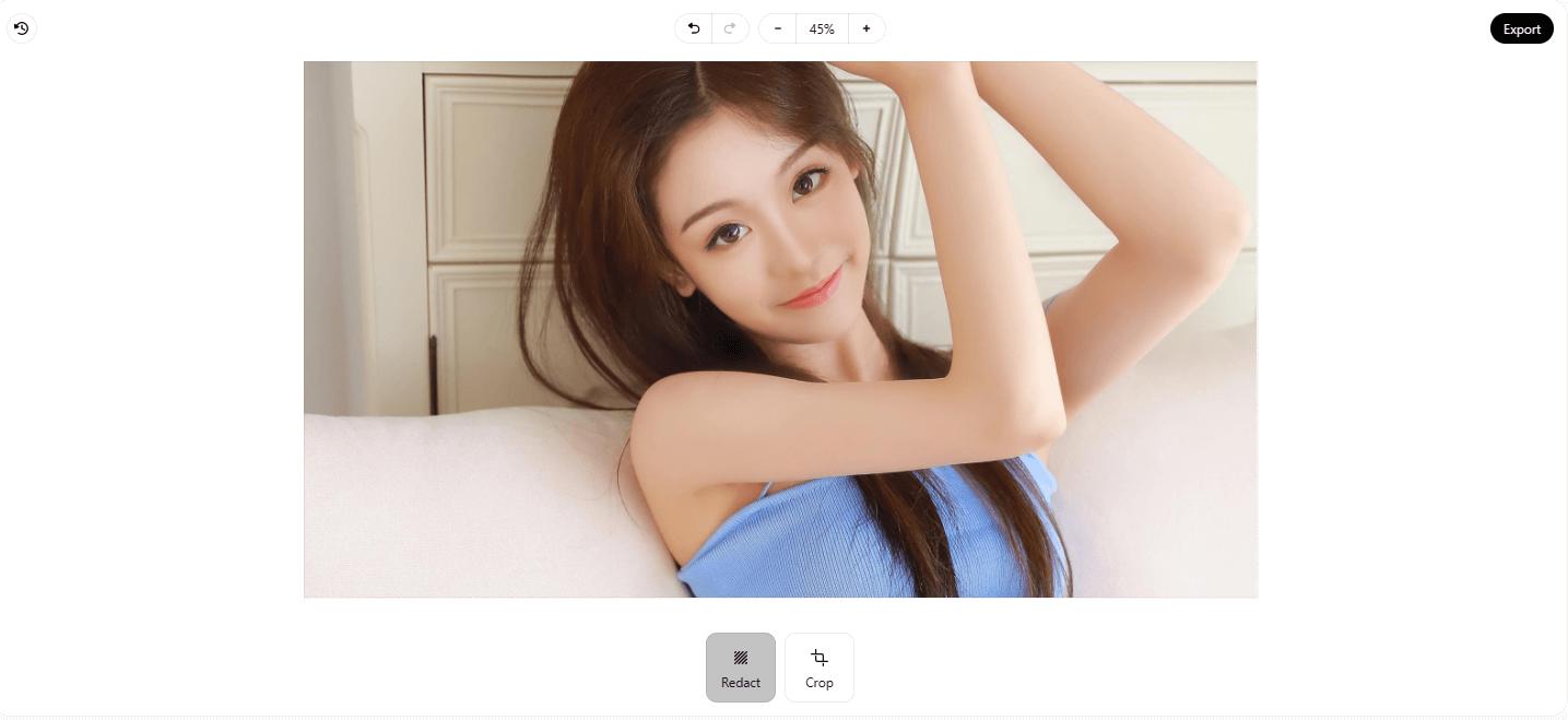 redact.photo：免费的在线图片马赛克编辑工具