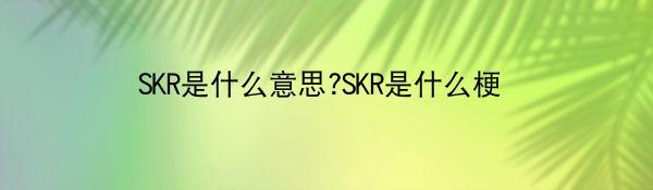 SKR是什么意思?SKR是什么梗