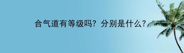 合气道有等级吗？分别是什么？