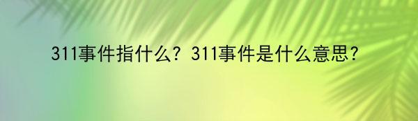 311事件指什么？311事件是什么意思？