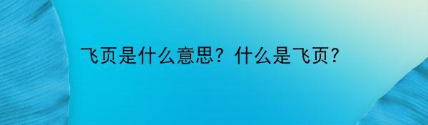 飞页是什么意思？什么是飞页？