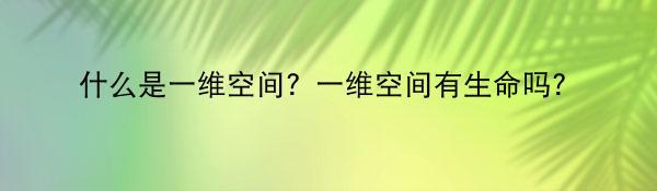 什么是一维空间？一维空间有生命吗？