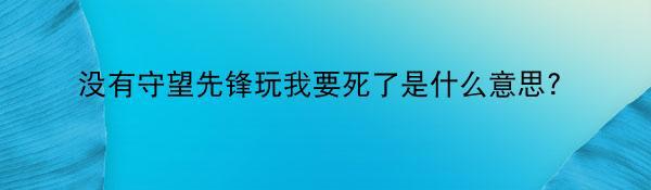 没有守望先锋玩我要死了是什么意思？