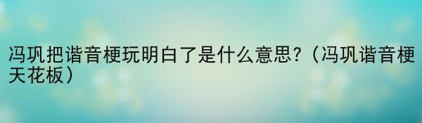 冯巩把谐音梗玩明白了是什么意思?（冯巩谐音梗天花板）