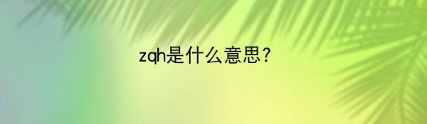 zqh是什么意思?