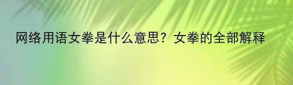 网络用语女拳是什么意思？女拳的全部解释