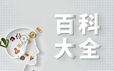 计算机终端是什么？计算机终端是什么意思？