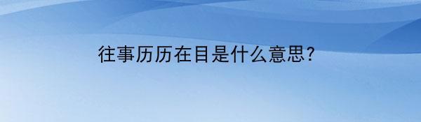 往事历历在目是什么意思？