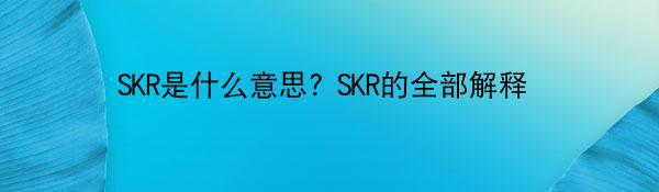 SKR是什么意思? SKR的全部解释