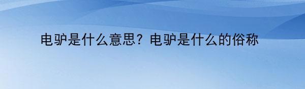 电驴是什么意思? 电驴是什么的俗称