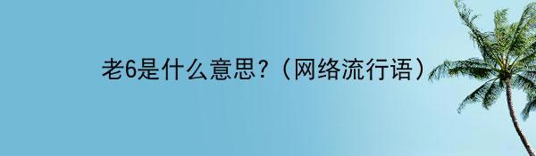 老6是什么意思?（网络流行语）