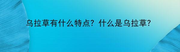 乌拉草有什么特点？什么是乌拉草？